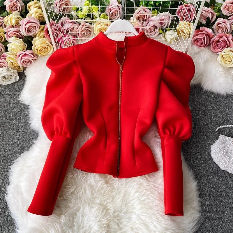 Price Buster Elegant shirt for women long-sleeved puff sleeve top       S4084
