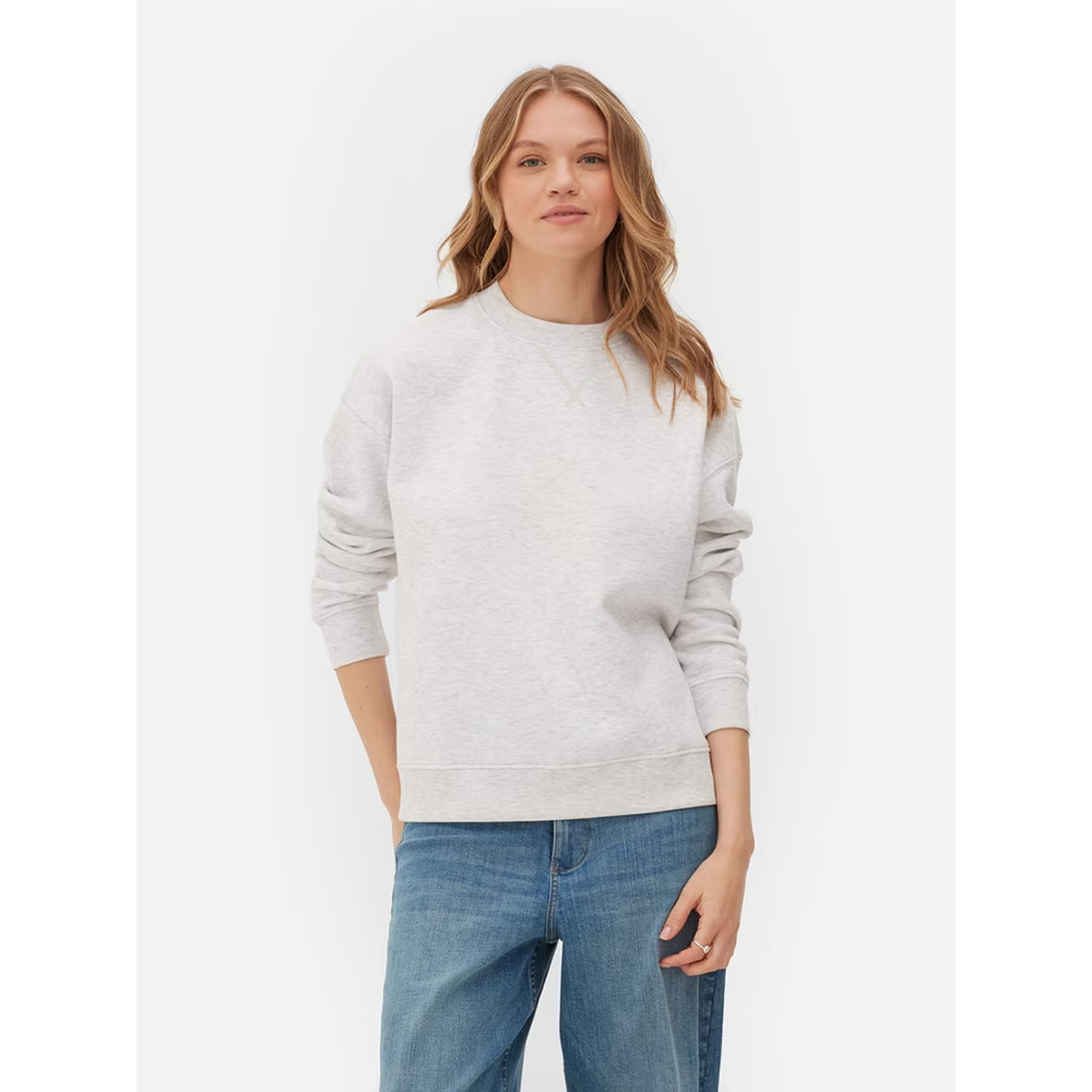 Price Drop Grey Basic Regular Fit Sweatshirt